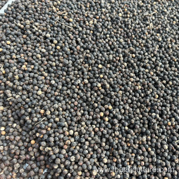 High Quality Black Pepper Powder Seasoning